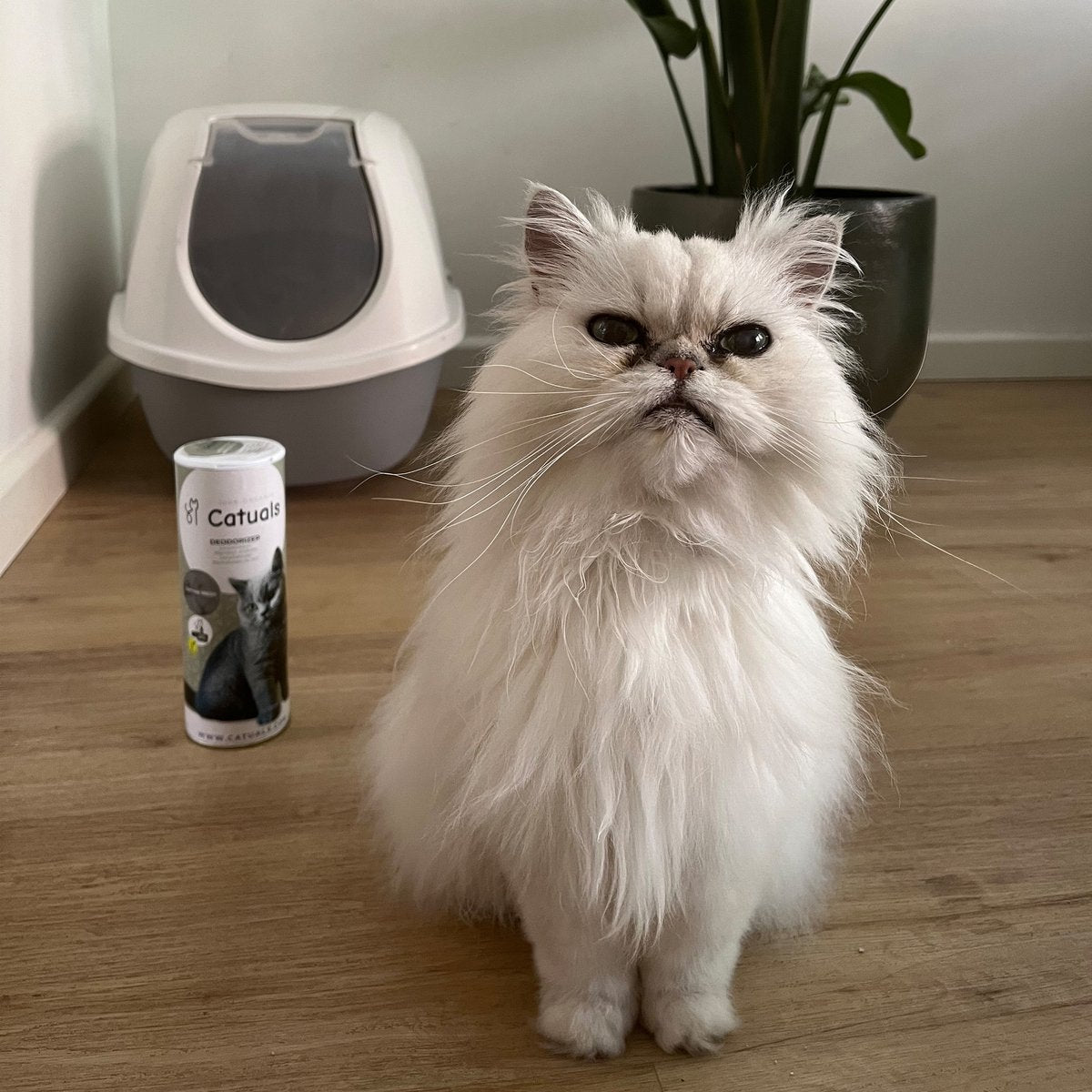  Catuals Kattenbakvulling Geurverdrijver - Neutraliseert Urinegeur Van Katten - Cotton Fresh - 500g