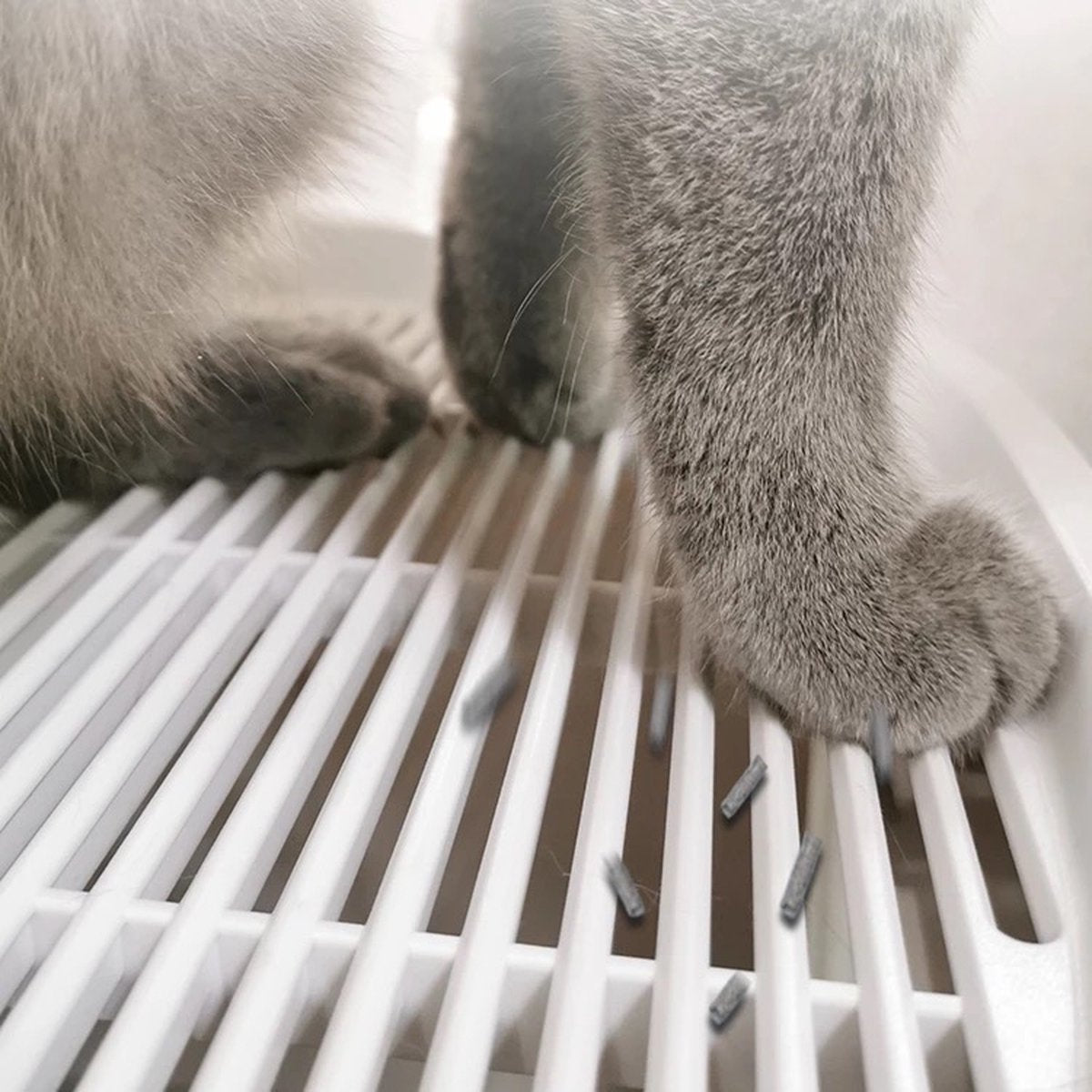 Skipoo Kattenbak Space Series - Kattenmand Met Lade - Inclusief Kattenbak Schep - Grote Kattenbak