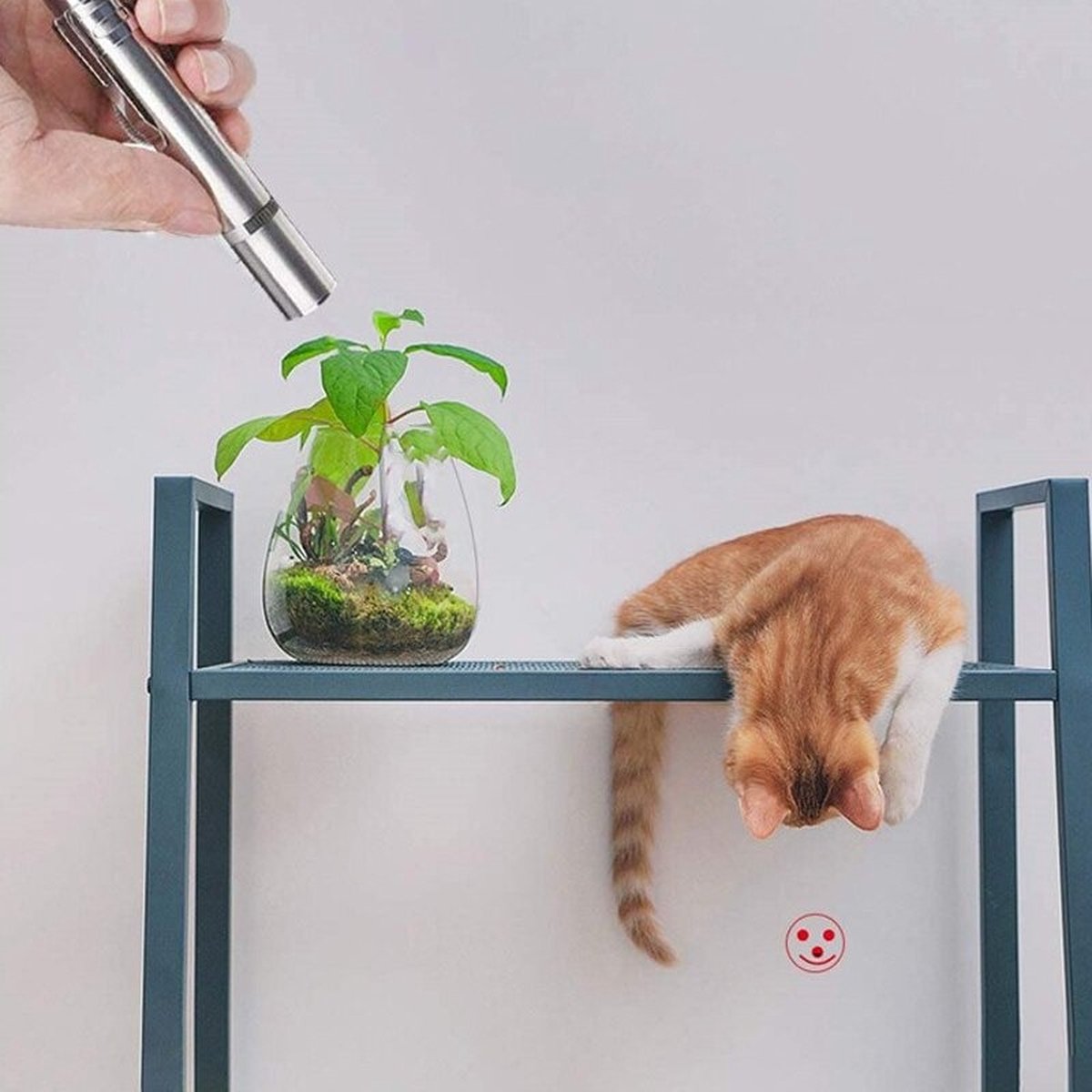 Merkloos Laserpen - Daily Accessoires - USB Oplaadbaar - Kattenspeeltjes - Laserlampje - 7 Verschillende Standen - RVS Zilver - Zaklamp - UV Lamp – Kattenspeelgoed