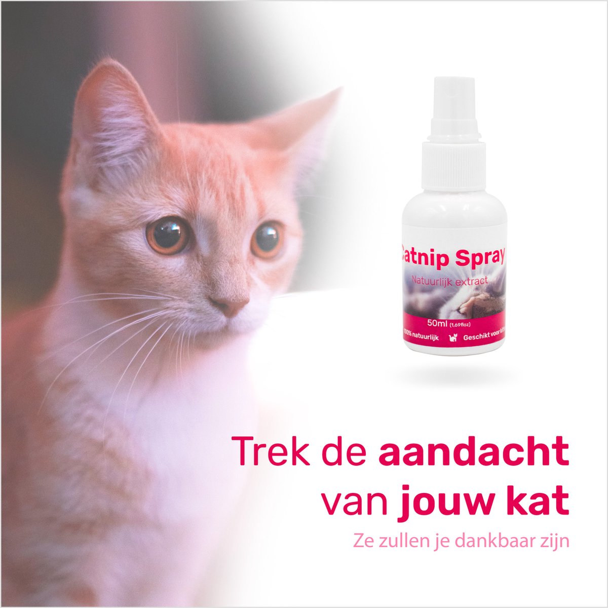  LBB - Catnip Spray 50ML - 100% Natuurlijk - CE Gekeurd - Kattenkruid Spray - Catnip Speelgoed - Valeriaan - Kat - Katten