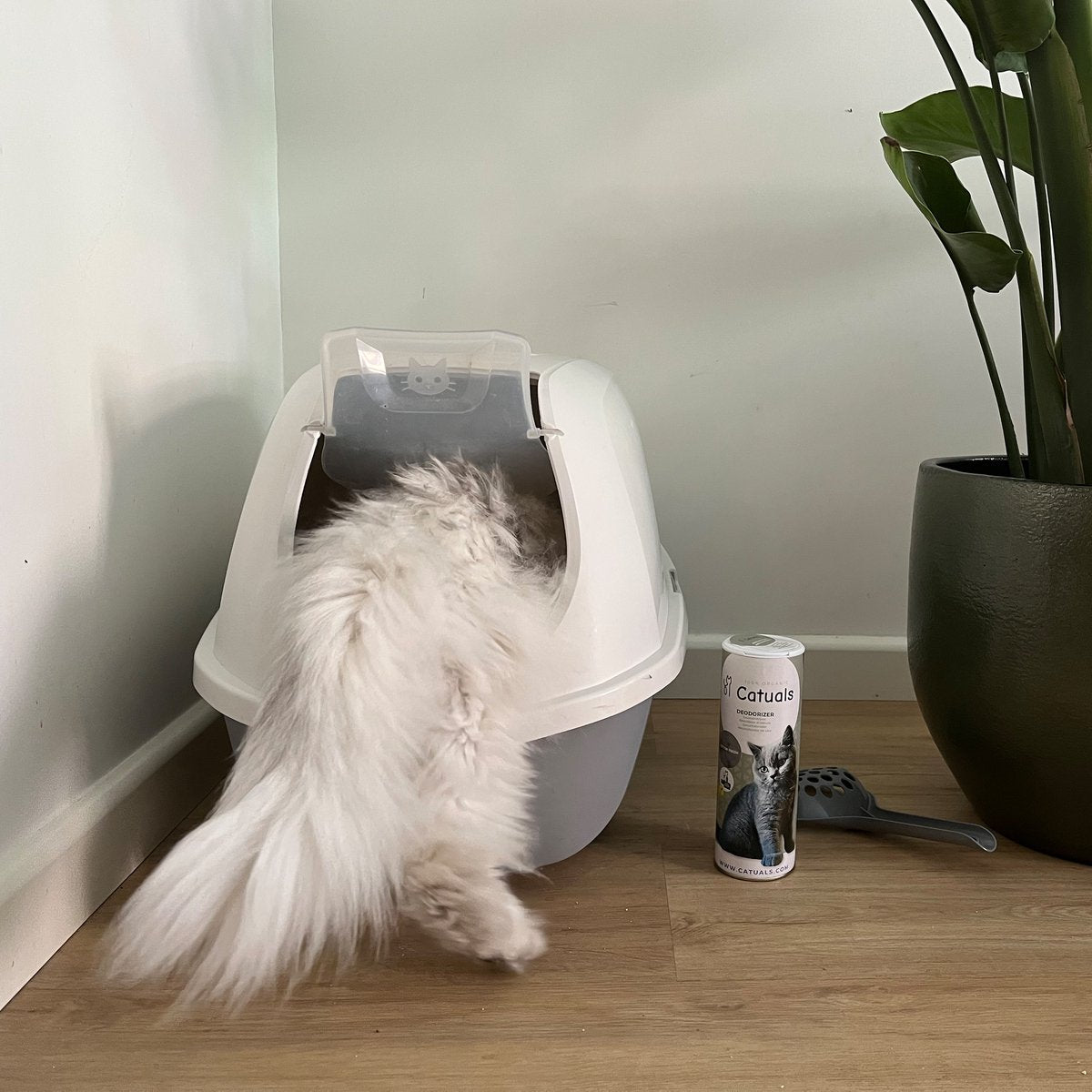  Catuals Kattenbakvulling Geurverdrijver - Neutraliseert Urinegeur Van Katten - Cotton Fresh - 500g