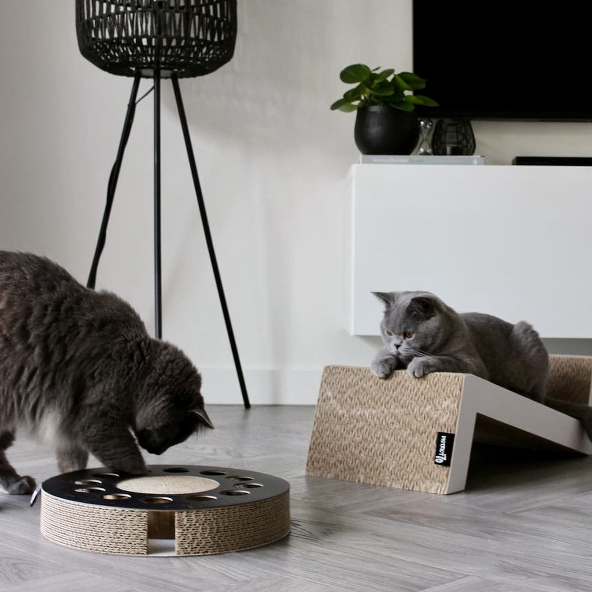  District 70 SOFA - Krabplank Voor Katten Van Duurzaam En Gerecycled Karton - 60x28x18 Cm - SOFA