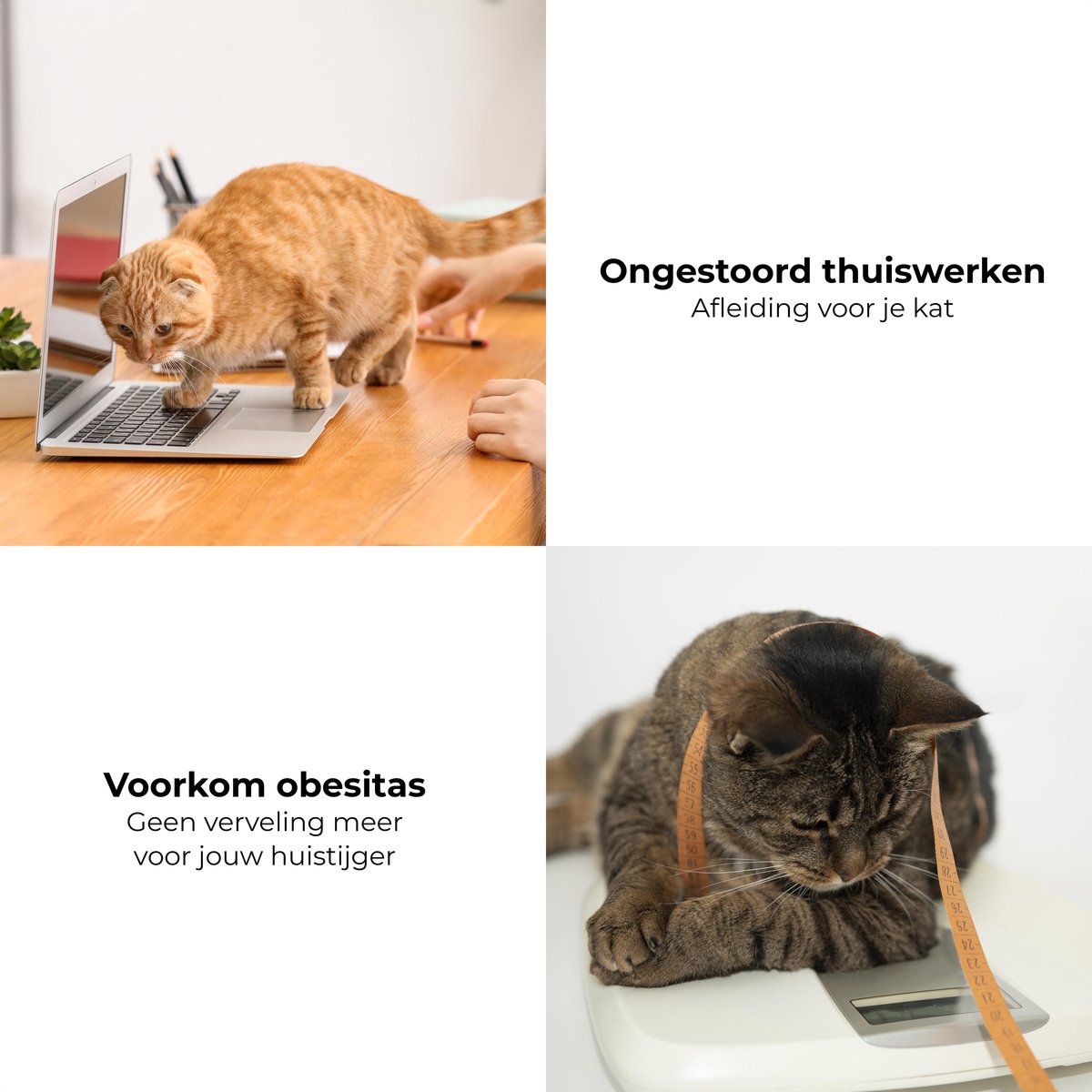  Pettadore - Laser Kattenspeeltjes - Smart Met Autoplay En Handmatig Via App