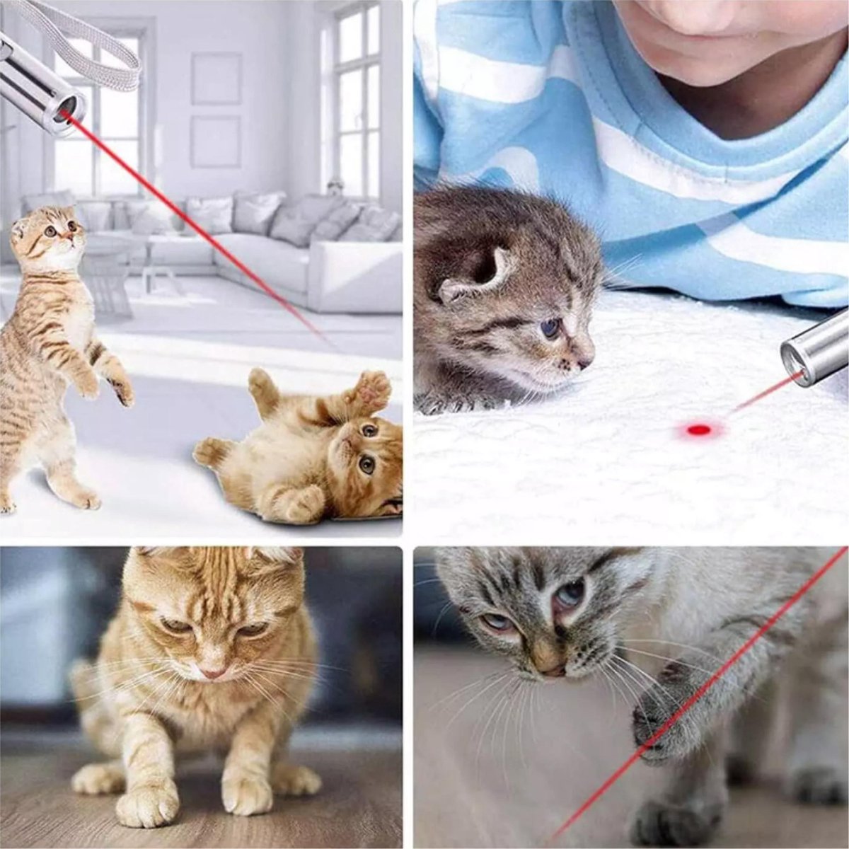 Merkloos Hoogwaardig Laserlampje Voor Katten | USB Oplaadbaar | 7 In 1 Laserpen | Laserpen | Zaklamp | Kattenspeeltje | Kattenspeelgoed | Zilver | Laserpointer Rood/groen | UV Licht