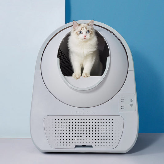  Catlink Smart Litter Box - Scooper Young - Zelfreinigende Kattenbak Zonder Wifi - Kleur Grijs