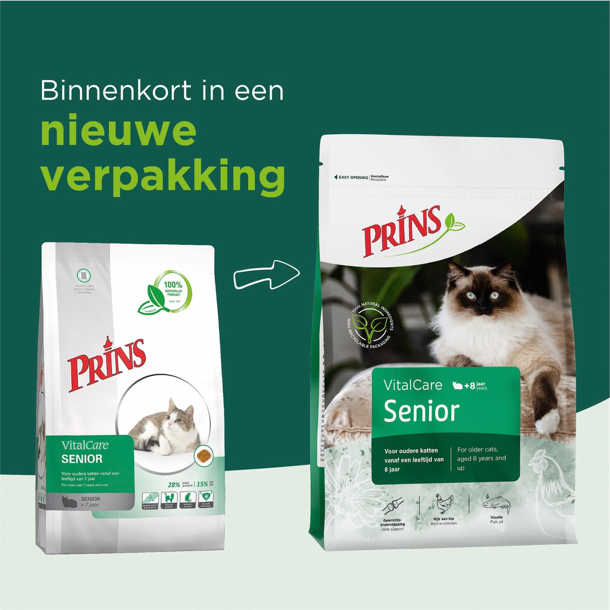  Prins VitalCare Senior 4 Kg - Kat