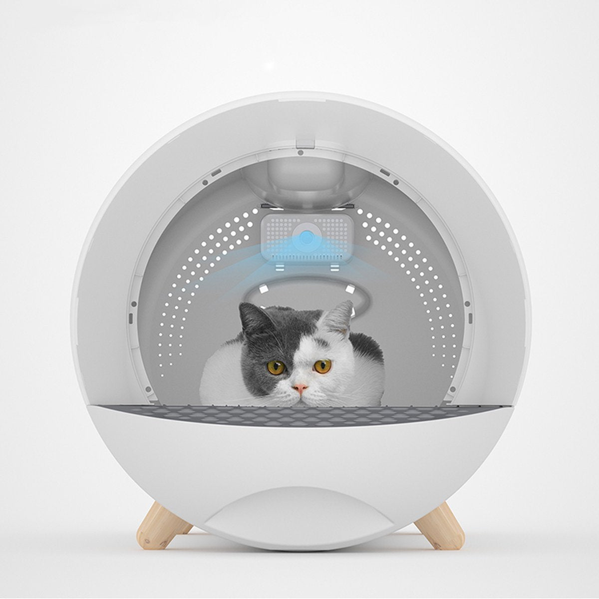  XL Kattenbak - Tunnel Met Geurfilter En Lade - Design Kattenbak