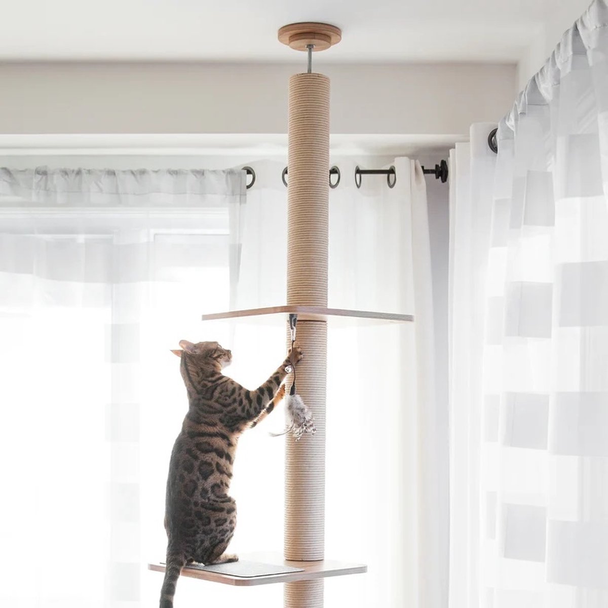  BeOneBreed Katt3 EVO Tower - Krabpaal Voor Katten Van Vloer Tot Plafond – Inclusief 3 Vilten Matjes En Hangspeeltje - Gelamineerd Hout - Maximale Hoogte 254 Cm