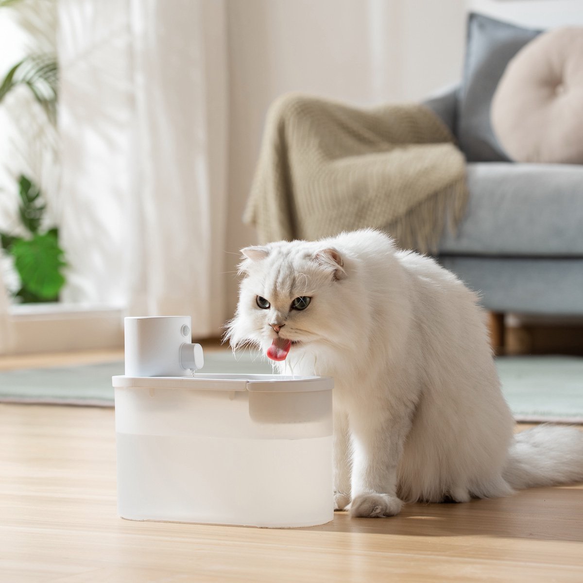  Hoopo® Agua - DRAADLOZE Waterfontein Katten - SMART Waterfontein Katten - UVC Disinfectie - 2 Liter - Automatische Katten Fontein