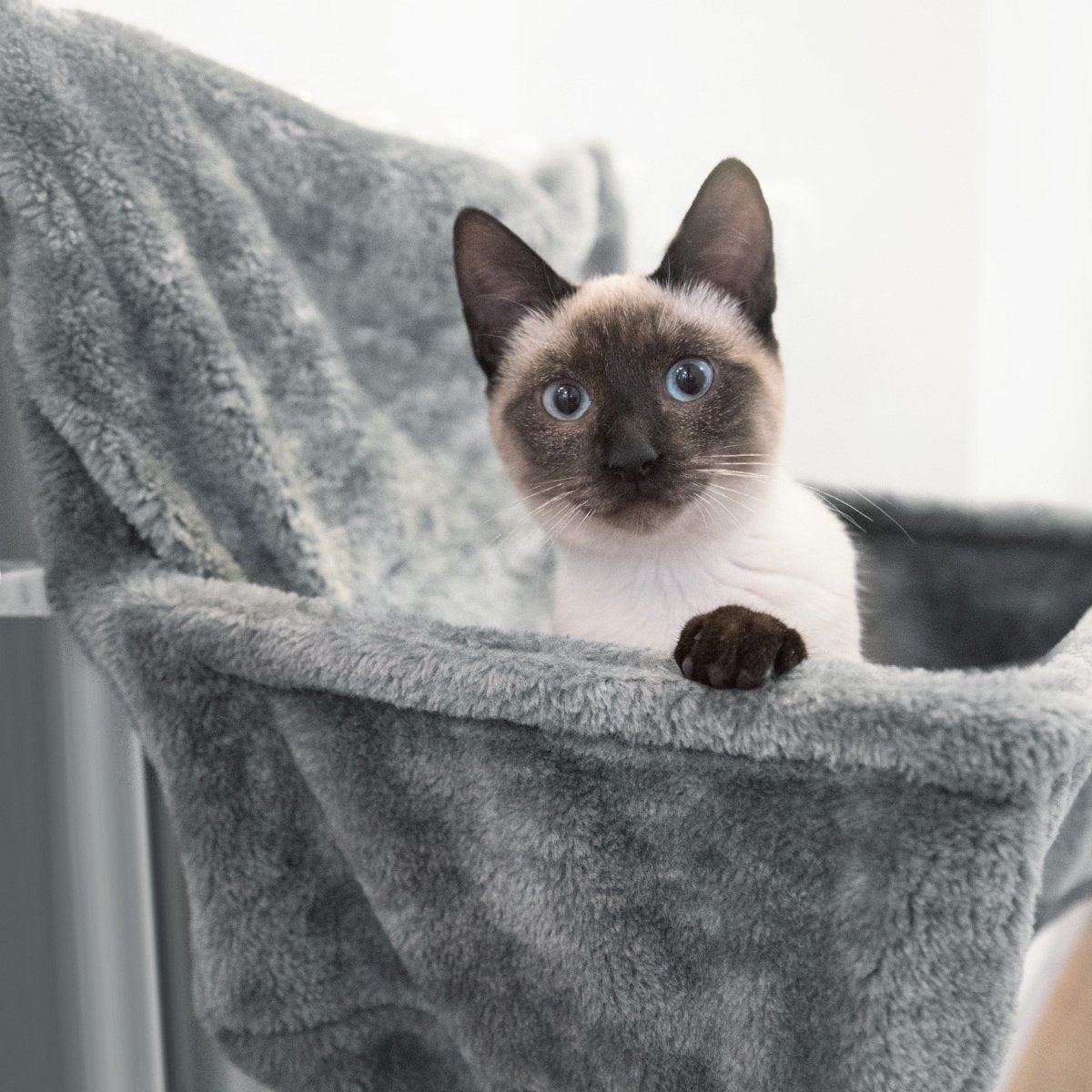  Navaris Hangmat Radiator Voor Katten - Kattenmand Voor Aan De Verwarming - Inclusief Uitneembaar Kussen - Tot 6 Kg