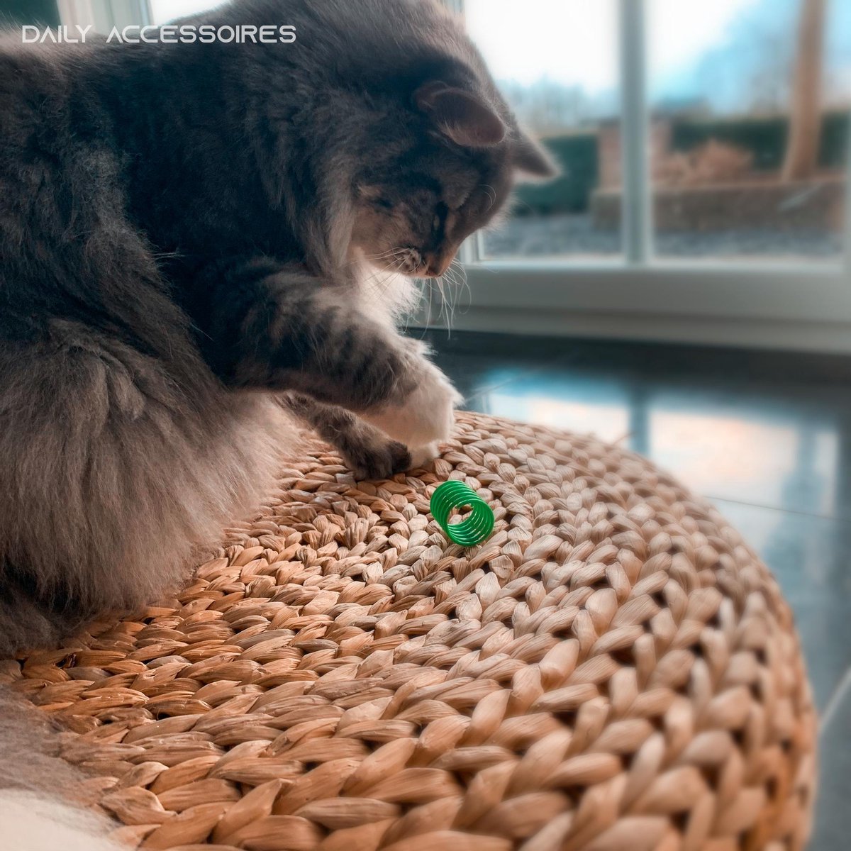  Kattenveertjes - Set 4 Stuks - Kattenspeeltjes - Kattenspeelgoed - Springveertje - Kittenspeeltjes - Kittenveertjes
