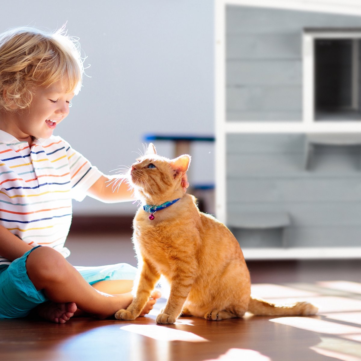  Relaxdays Kattenhuis Buiten - Groot Kattenhok Binnen - Hoog Kattenmeubel Grijs Hout - Tuin