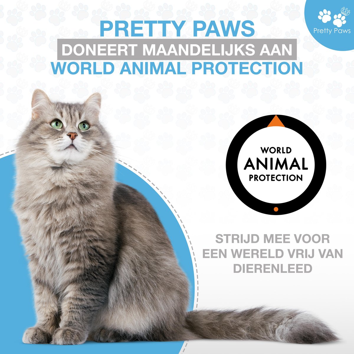  Pretty Paws PP005 Wifi Voerautomaat Zwart - Automatische Voerbak - Slimme Voerautomaat Met App - Instelbaar Voedingsschema - WIFI