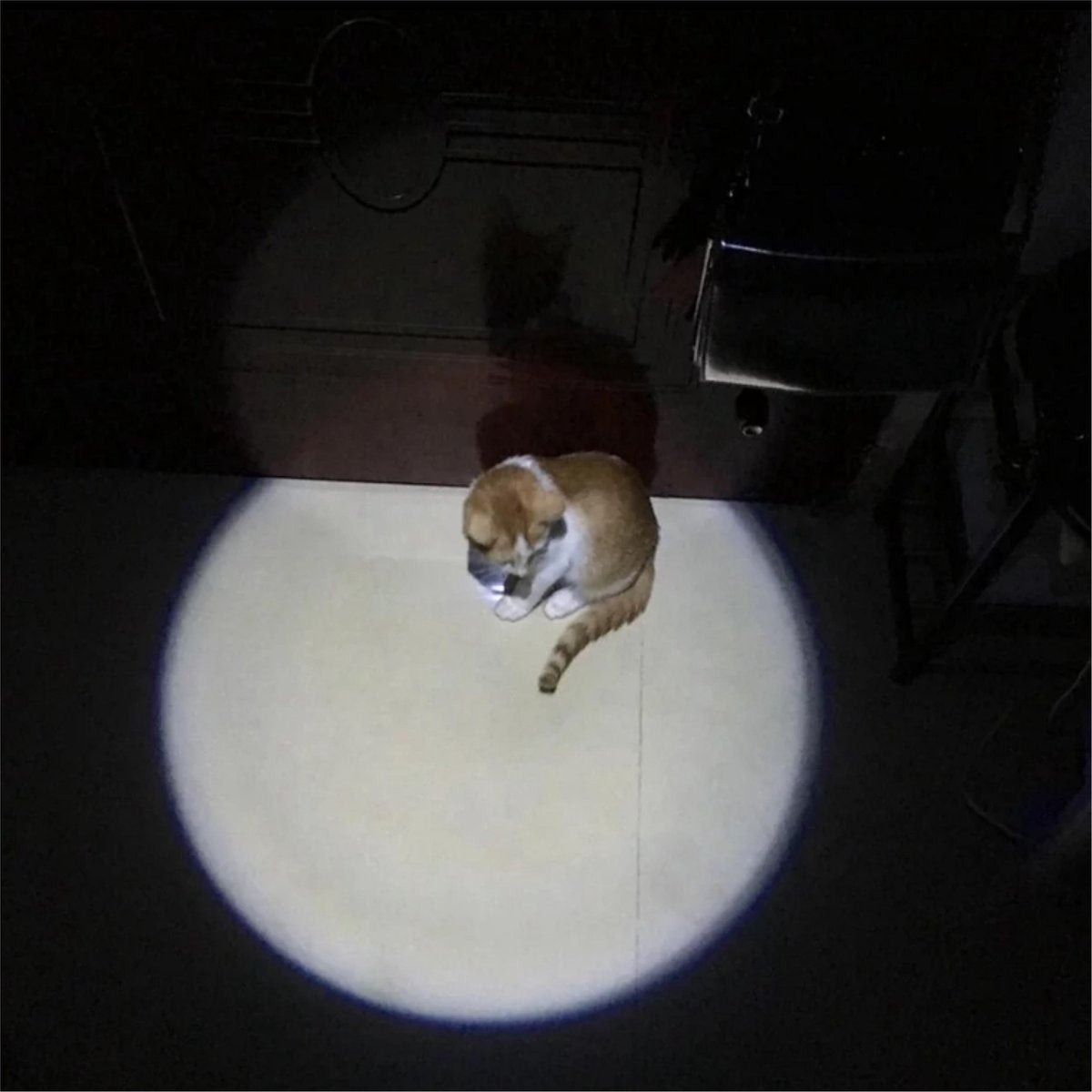 Merkloos Hoogwaardig Laserlampje Voor Katten | USB Oplaadbaar | 7 In 1 Laserpen | Laserpen | Zaklamp | Kattenspeeltje | Kattenspeelgoed | Zilver | Laserpointer Rood/groen | UV Licht