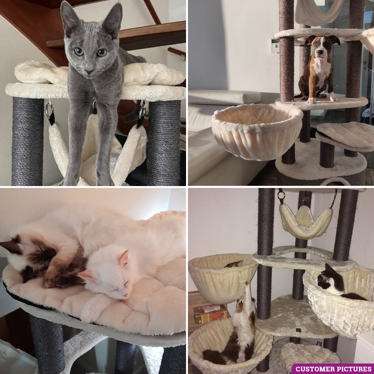  Petrebels Catharina 160 Krabpaal - Creme - 2 Hangmatten - Grote Katten