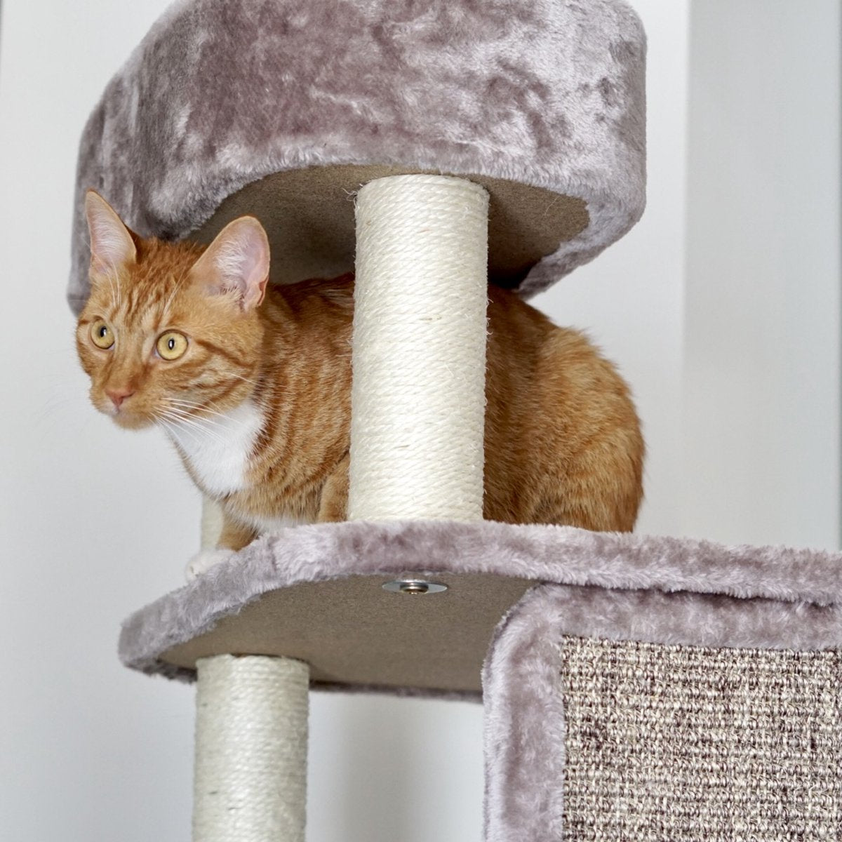  Petrebels Little Rock 99 Katten Krabpaal - Cappuccino - 99 Cm - Stabiel