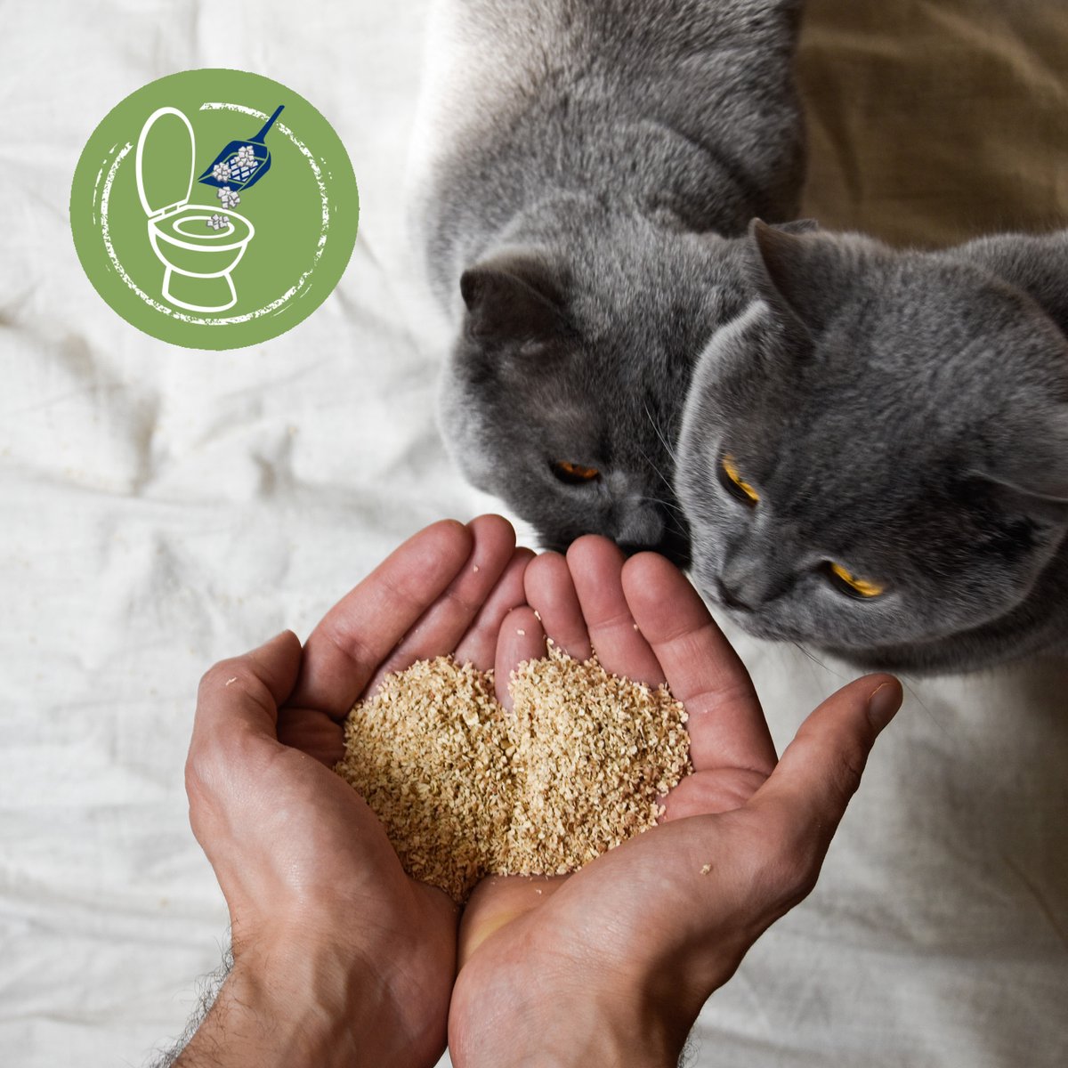  Biokat's Natural Care - 30 L - Kattenbakvulling - Klontvormend - Zonder Geur