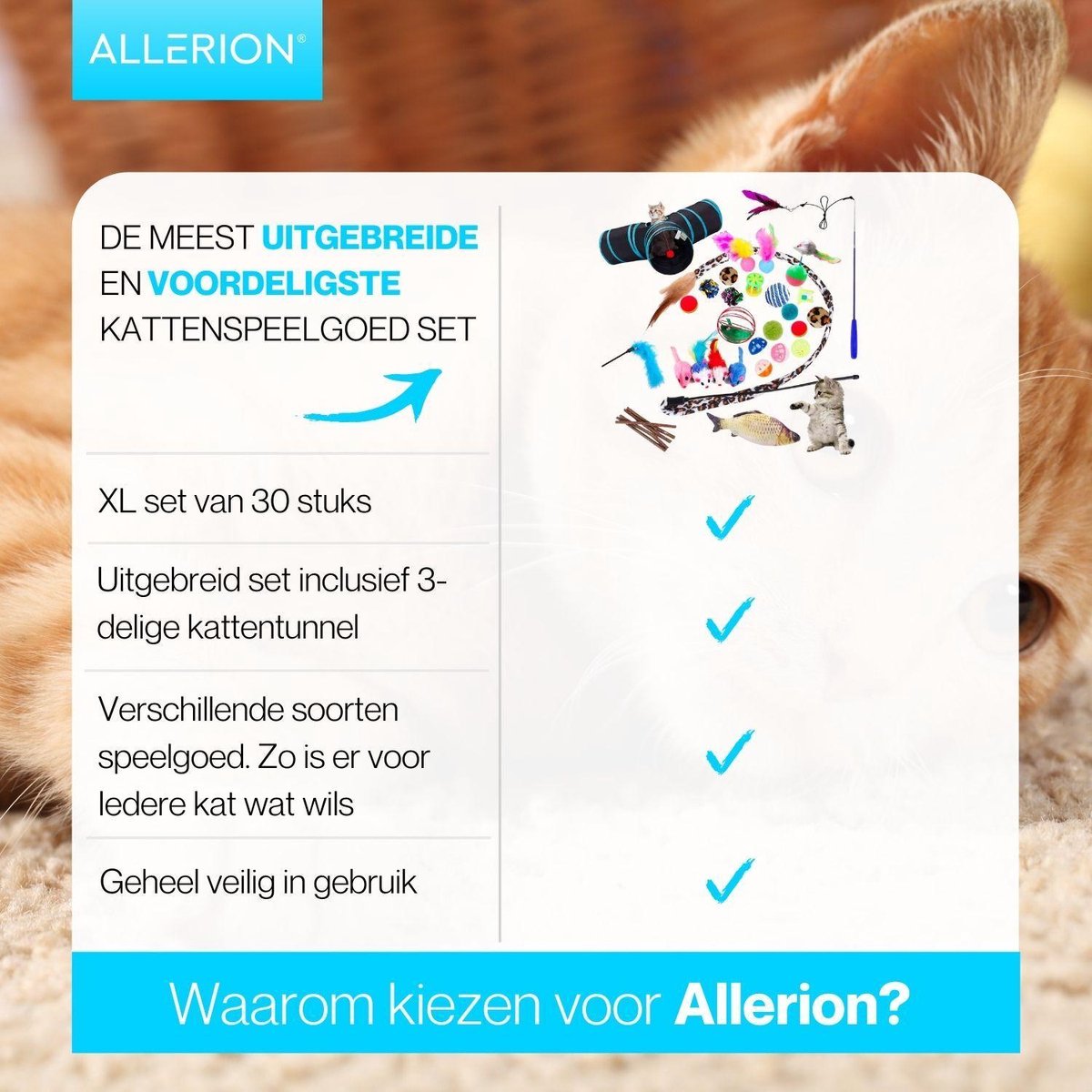  Allerion Kattenspeeltjes Set – 30-delig – Intelligentie