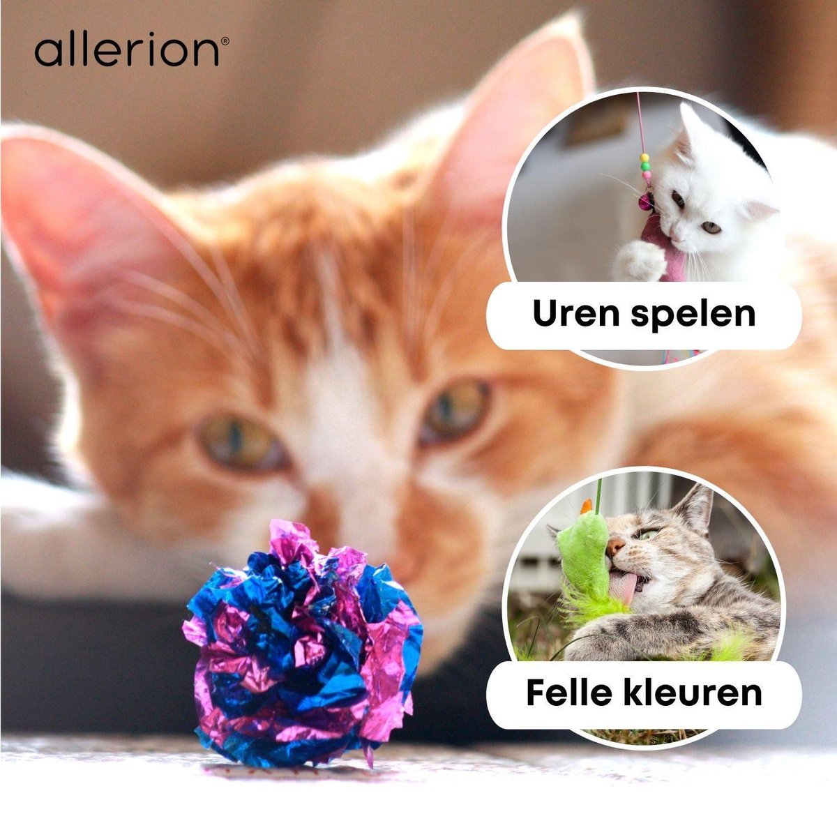  Allerion Kattenspeeltjes Set – 30-delig – Intelligentie