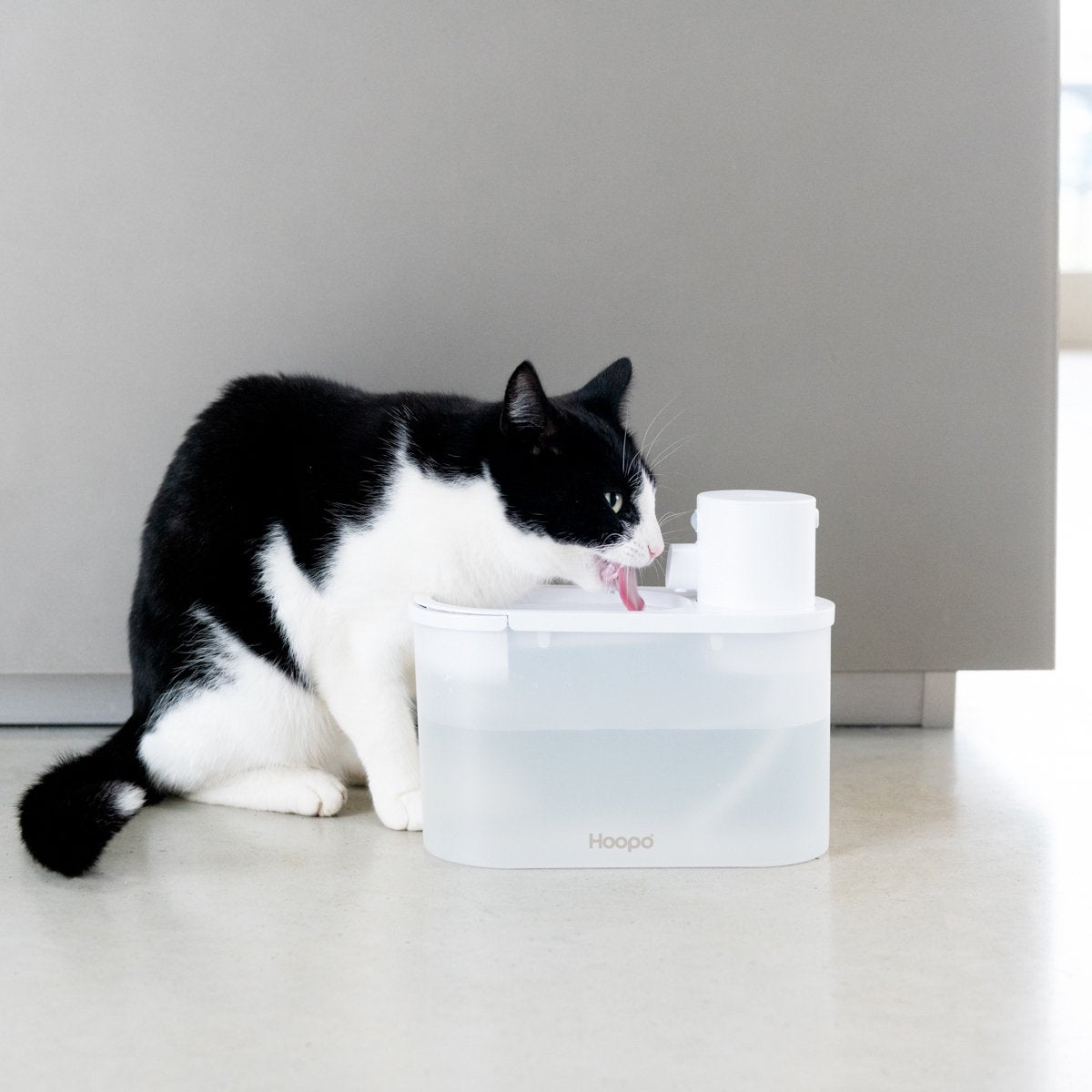  Hoopo® Agua - DRAADLOZE Waterfontein Katten - SMART Waterfontein Katten - UVC Disinfectie - 2 Liter - Automatische Katten Fontein