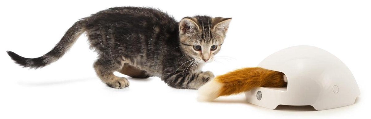  FroliCat Vossenhol - Automatische Kattenplager - Kattenspeelgoed