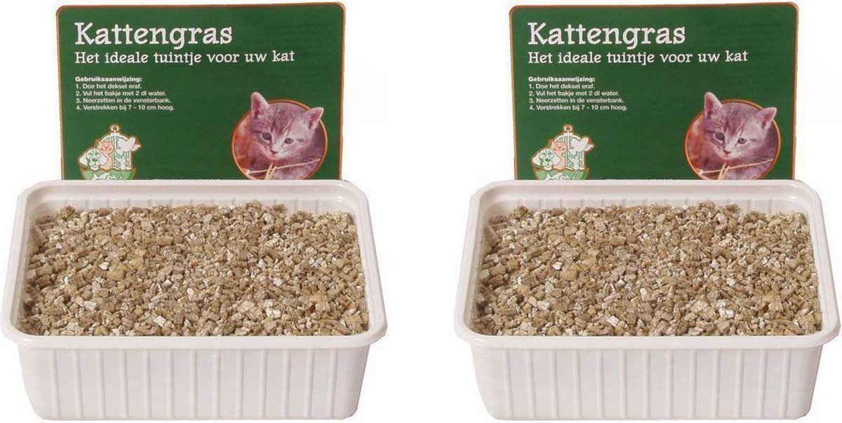  Kattengras Zaadjes Per 2 Dozen