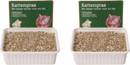  Kattengras Zaadjes Per 2 Dozen