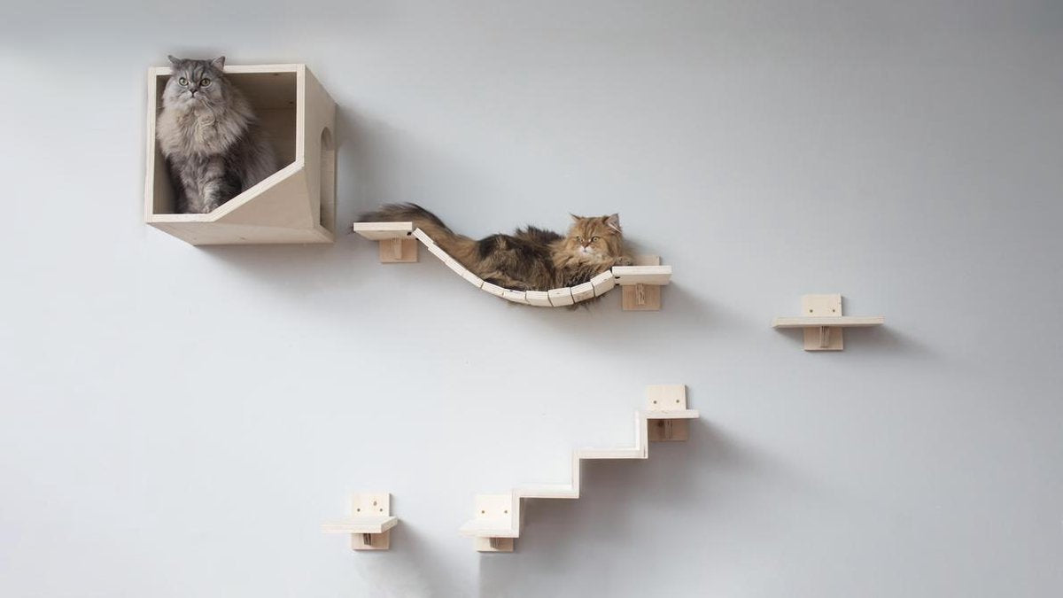  Plankjes Voor De Kat - Kattenplankjes - Muurplankjes - Klimmuur Kat - Katten Klimmuur - Loopplankjes Kat - Kattenmuur - Katten Klimwand - Huisje Rechts