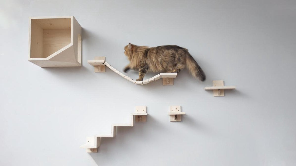  Plankjes Voor De Kat - Kattenplankjes - Muurplankjes - Klimmuur Kat - Katten Klimmuur - Loopplankjes Kat - Kattenmuur - Katten Klimwand - Huisje Rechts