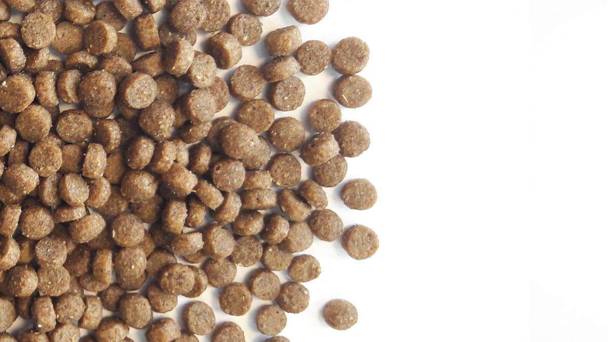  Carocroc Kitten Food - Kattenvoer - 7 Kg