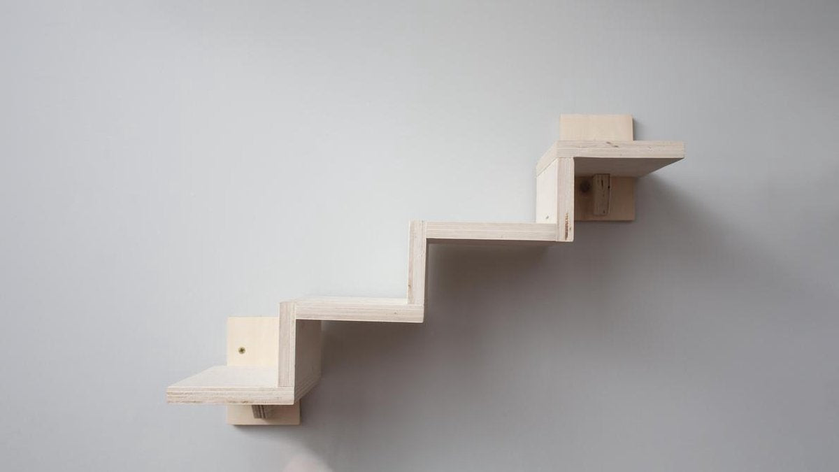  Plankjes Voor De Kat - Kattenplankjes - Muurplankjes - Klimmuur Kat - Katten Klimmuur - Loopplankjes Kat - Kattenmuur - Katten Klimwand - Huisje Rechts