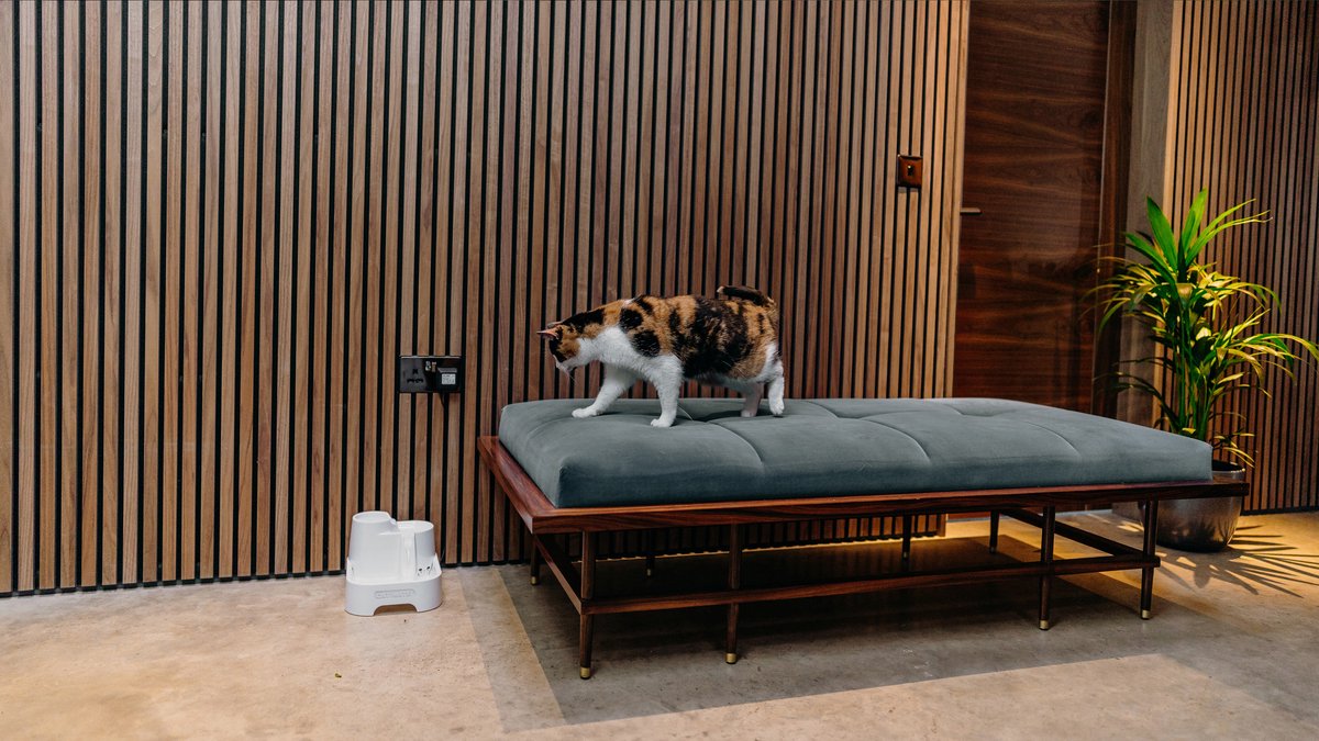  Cat Mate - Waterfontein Kat - Kattenfontein - Drinkfontein Kat - Fluisterstil - Poezen Fontein - Dieren Drinkbakken - Honden Fontein - 2 L