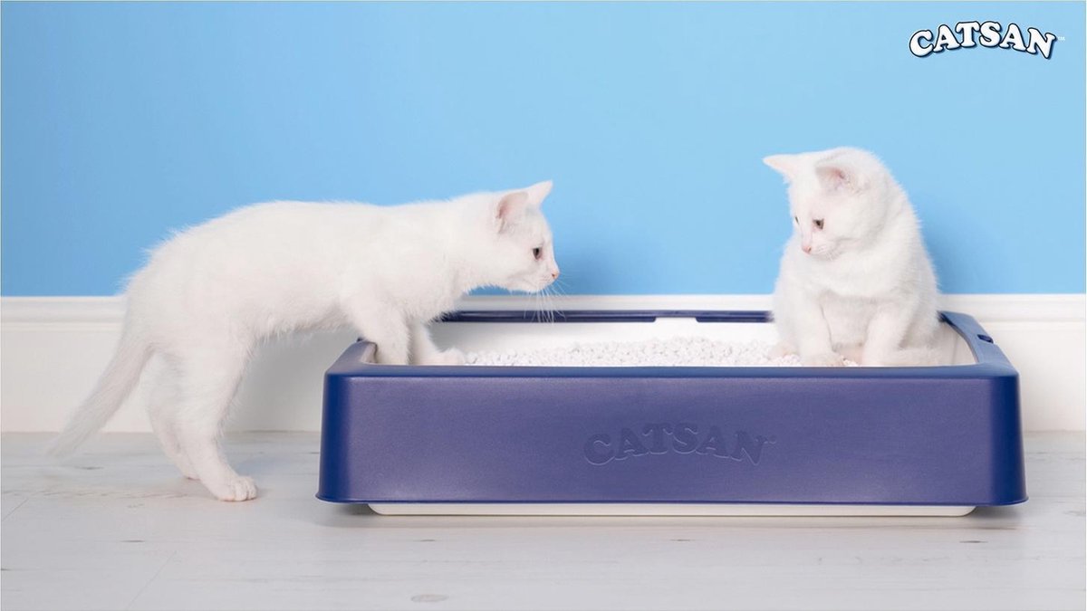  Catsan Hygiene Plus - Kattenbakvulling Geurabsorberend - 20 L