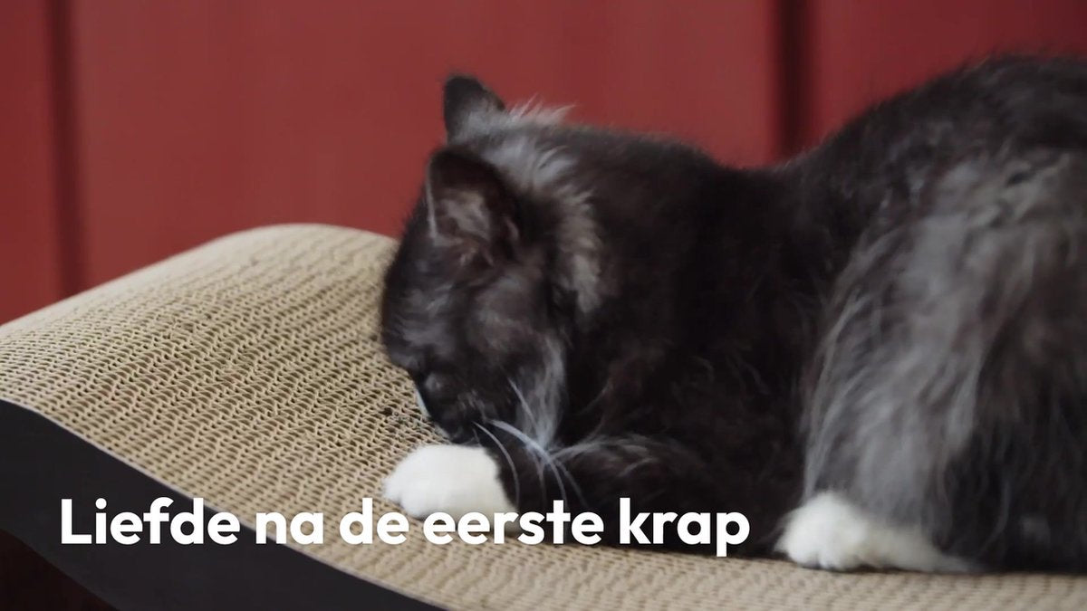  Snoozle Loop Krabpaal Voor Katten - Zwart - 86cm - Krabmeubel Voor Grote Katten - Karton