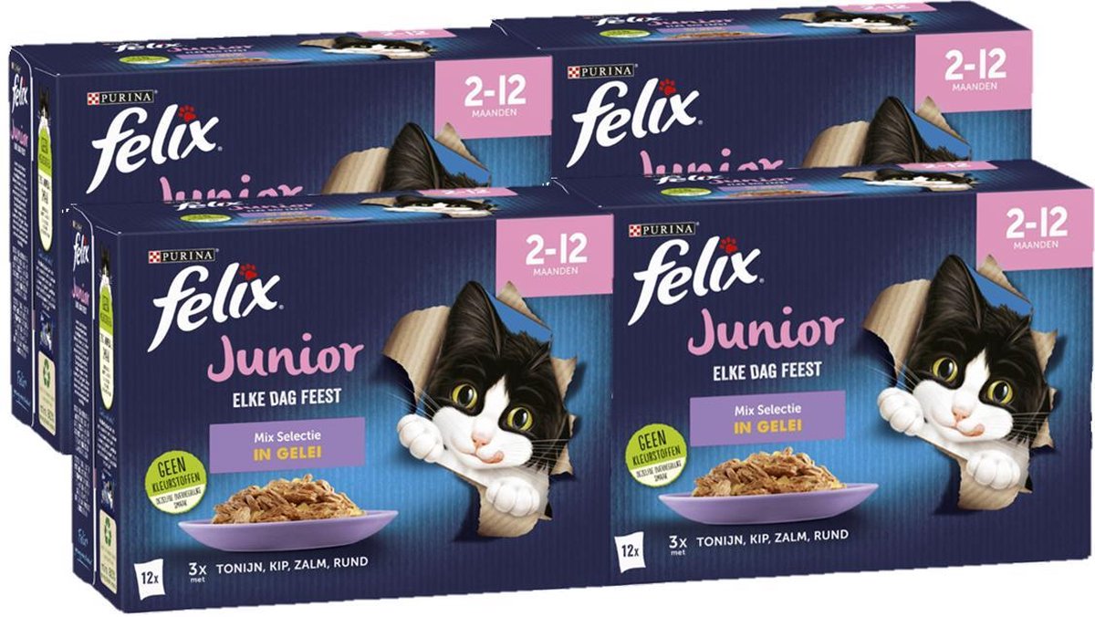  Felix Elke Dag Feest Mix Selectie In Gelei Junior - Katten Droogvoer - 48 X 85g