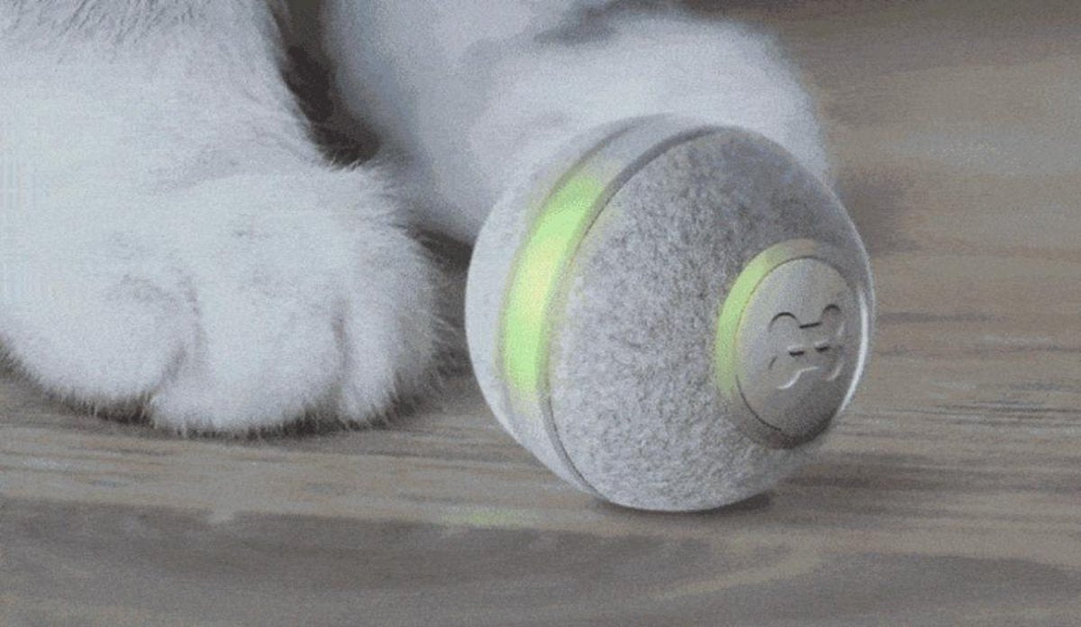  Cheerble Mini Ball 2.0 - Slimme Interactieve Zelf Rollende Bal Voor Katten - 3 Speelmodi - Kattenspeeltjes - USB Oplaadbaar - Rood