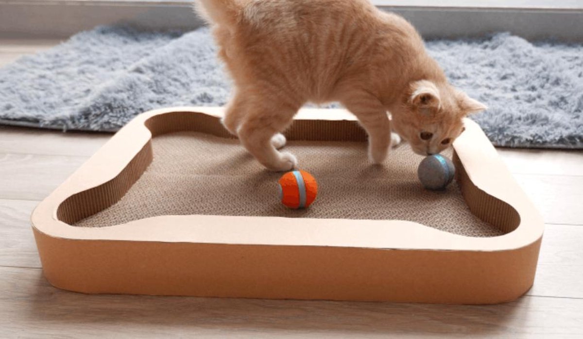  Cheerble Mini Ball 2.0 - Slimme Interactieve Zelf Rollende Bal Voor Katten - 3 Speelmodi - Kattenspeeltjes - USB Oplaadbaar - Rood