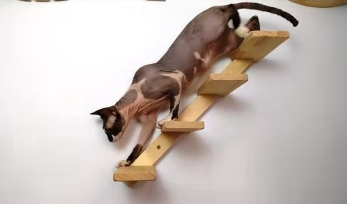  Kattentrap Hout - Linksonder Naar Rechtsboven - Handgemaakte Kattenladder - Katten Klimmuur Klimwand