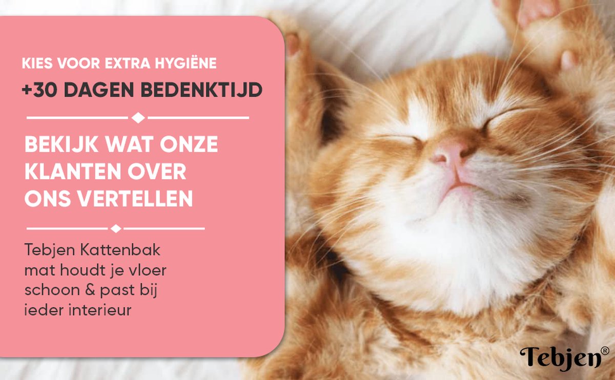  TEBJEN Kattenbakmat – Kattenbak Mat Grit Opvanger - Schoonloop Katten Mat – Dubbele Waterdichte Laag – Uitloopmat Kattenbak – Kattenbak Accessoires - Met Speelgoedmuisje En Schepje - 30cm * 30cm