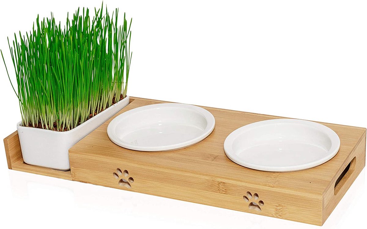  Pfotenolymp® Voederstation Met Kattengras Voor Katten - Porseleinen Kattenbak/Voedingsbak - Verhoogde Kom Set Met Kattengrasbak - Voerbak Hoog