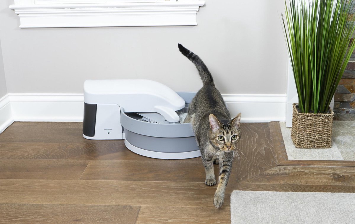  Zelfreinigende Kattenbak - PetSafe Simply Clean - Fluisterstil Met Koolstoffilter Tegen Geurtjes