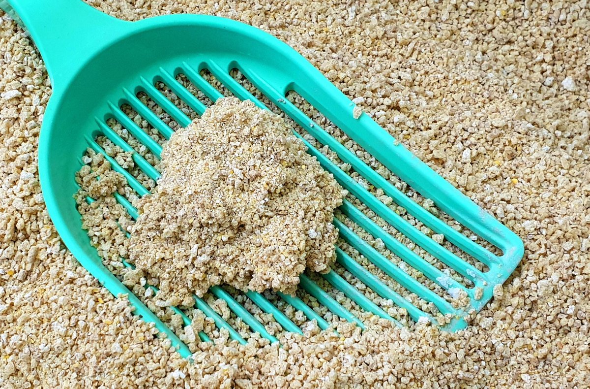Merkloos GrainCat Composteerbare Kattenbakvulling Klontvormend 24L