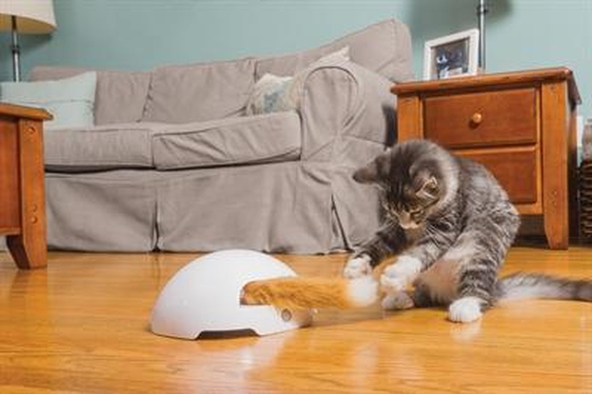  FroliCat Vossenhol - Automatische Kattenplager - Kattenspeelgoed