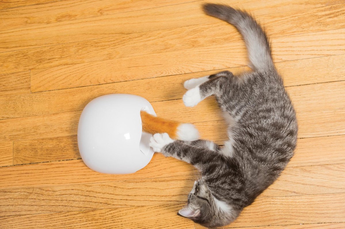  FroliCat Vossenhol - Automatische Kattenplager - Kattenspeelgoed