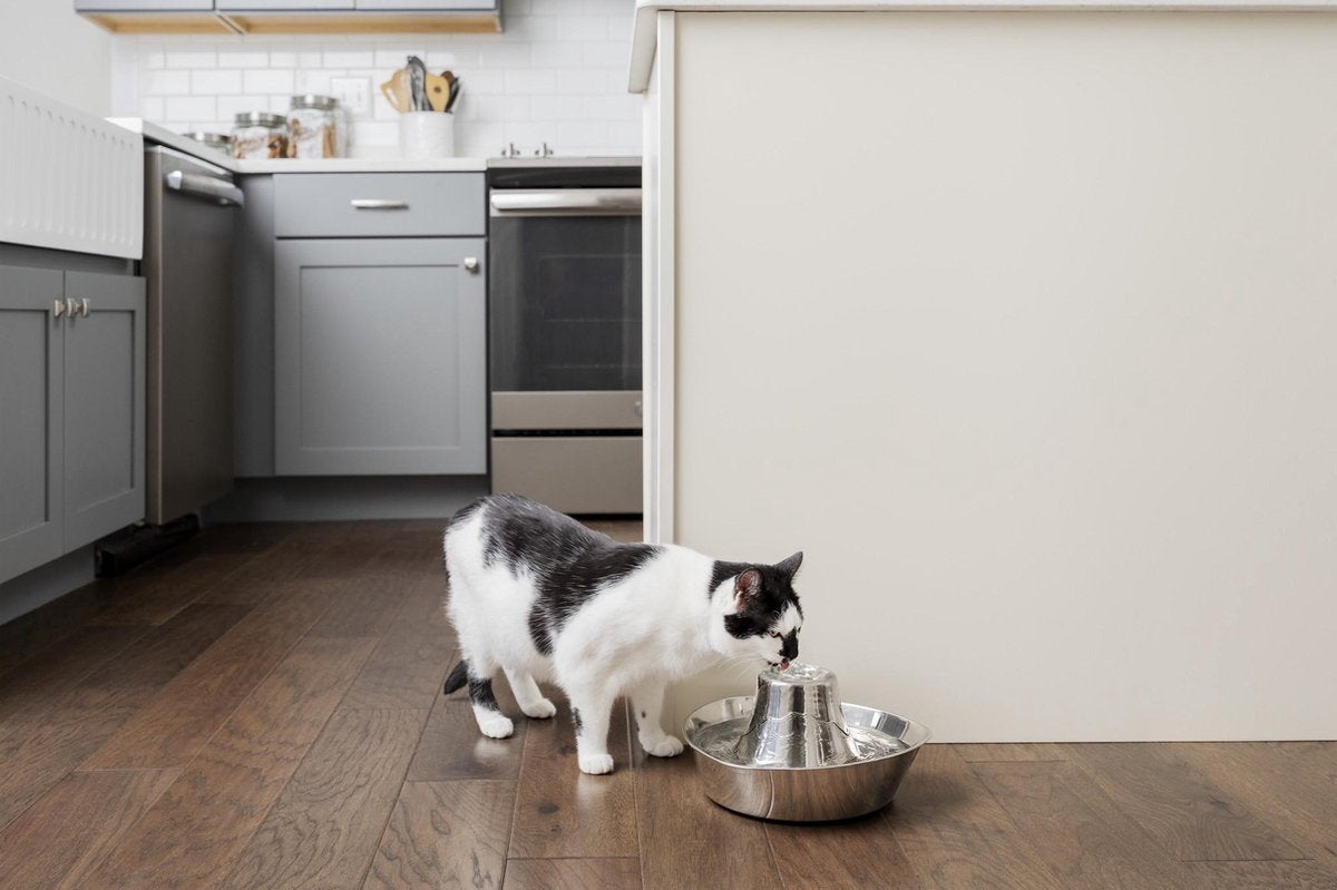  PetSafe® Seaside Stainless Steel Pet Fountain - RVS Drinkfontein Voor Katten En Kleine Honden - Water Borrelt Zacht Over De Toren - Door Het Design Van Alle Kanten Bereikbaar - 1,8 Liter - PetSafe Seaside