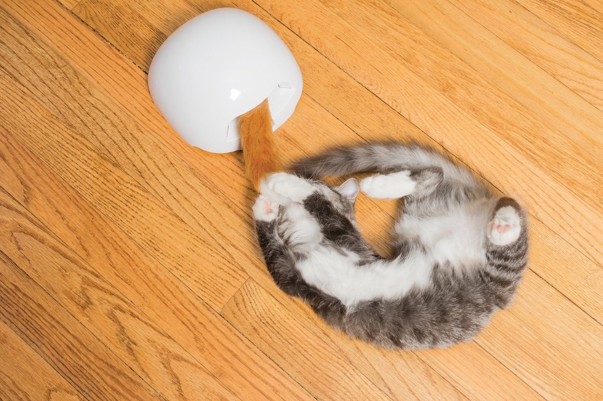  FroliCat Vossenhol - Automatische Kattenplager - Kattenspeelgoed