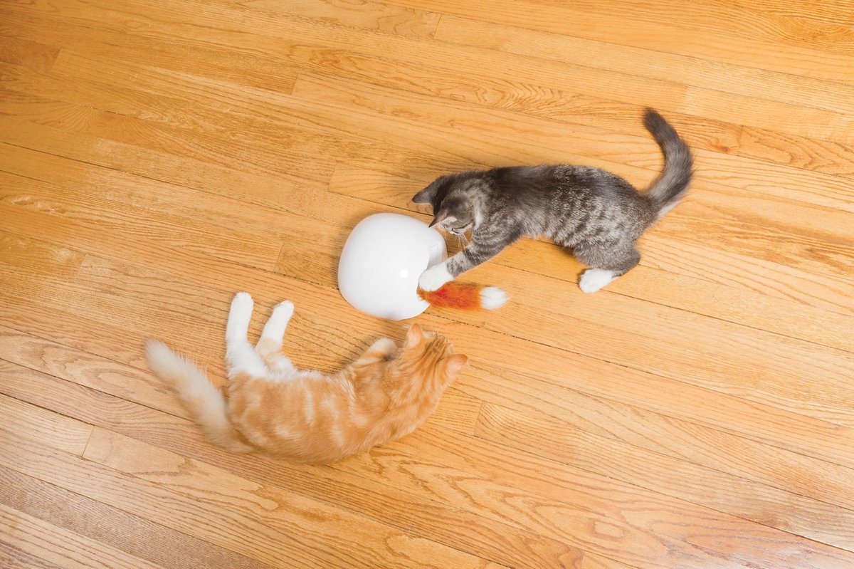  FroliCat Vossenhol - Automatische Kattenplager - Kattenspeelgoed