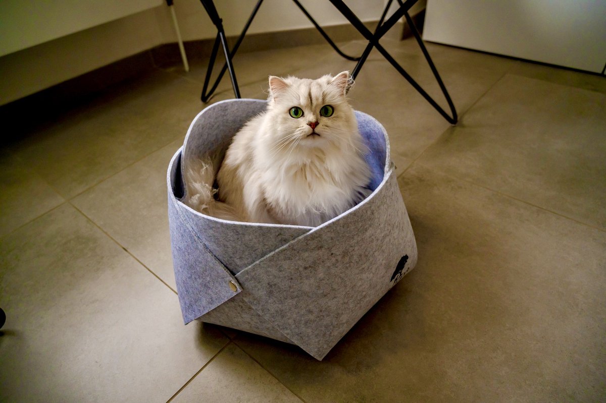  Djambo Grijs Kattenmand Vilt Met 1 Zacht Kussen - Elegant En Praktisch Kattenbed - Comfortabel En Origineel Design