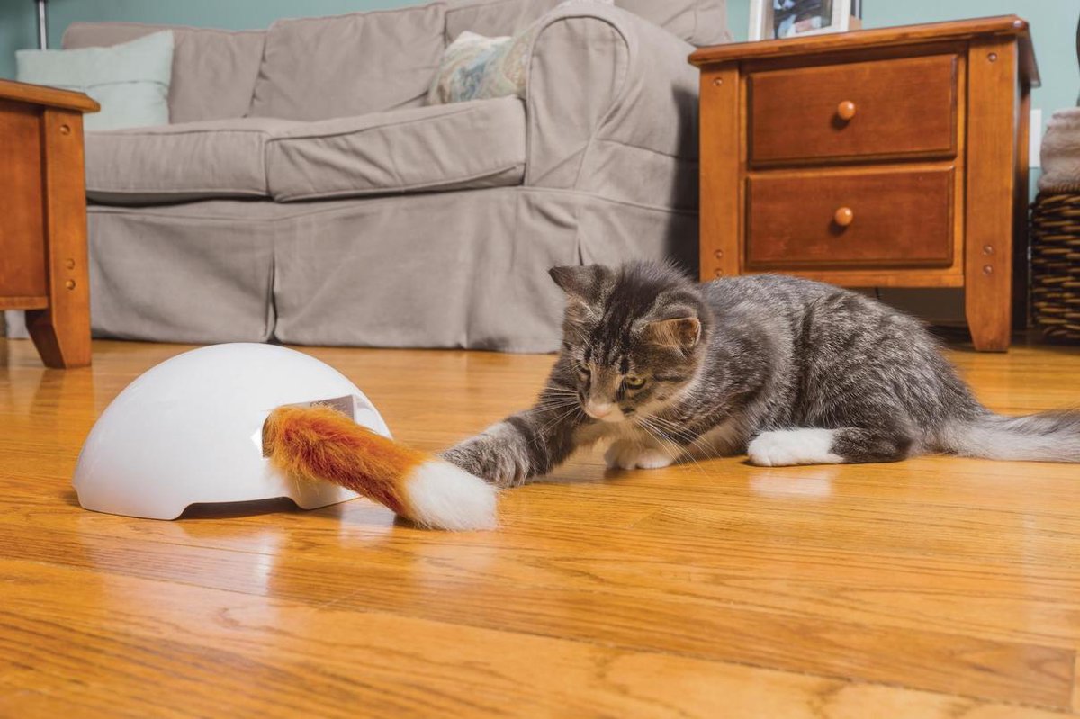  FroliCat Vossenhol - Automatische Kattenplager - Kattenspeelgoed