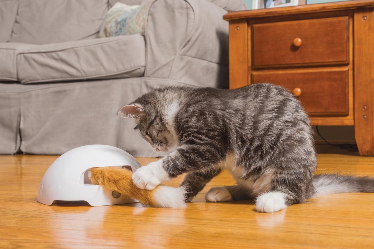  FroliCat Vossenhol - Automatische Kattenplager - Kattenspeelgoed